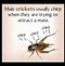 Image result for Cricket Animal