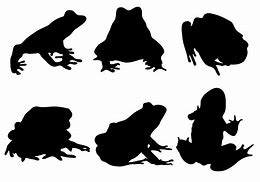 Image result for Frog Silhouette Vector