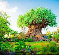 Image result for Disney's Animal Kingdom