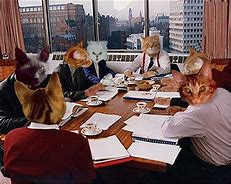 Image result for Business Cat Meme Mug
