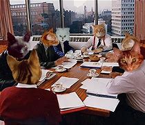 Image result for Business Cat Meme