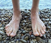 Image result for 5 Foot 8