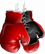 Image result for No Boxing No Life Boxing Gloves