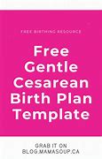 Image result for Funny Birth Plan