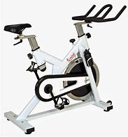 Image result for Sunny Indoor Cycling Exercise Bike