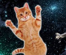 Image result for Floating in Outer Space Meme