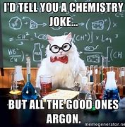 Image result for Funny Cat Jokes