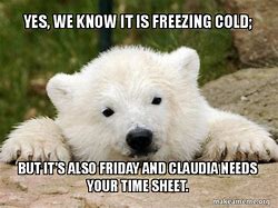 Image result for Cold Friday Meme