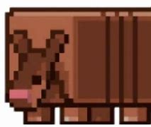 Image result for Minecraft Armadillo Memes