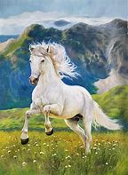 Image result for White Horse Painting