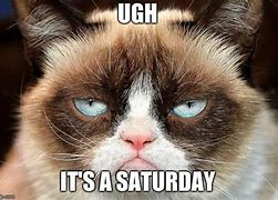 Image result for Grumpy Cat Saturday