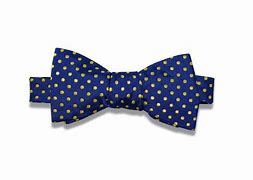 Image result for Blue and Gold Polka Dots