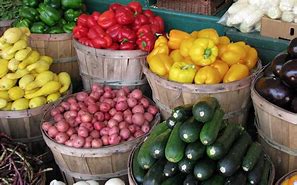 Image result for Seasonal Produce