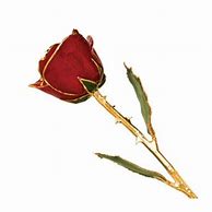 Image result for 24 Karat Gold Red Rose
