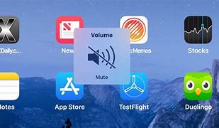 Image result for iPad Silent Switch