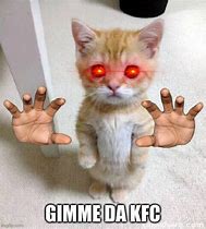 Image result for Cat Memes Gimme
