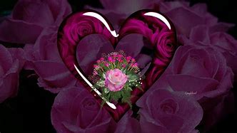 Image result for Pink Purple Roses Hearts