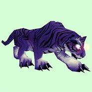 Image result for Purple Cat WoW