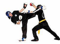 Image result for Kickboxing Art