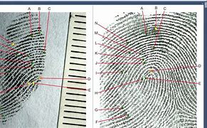 Image result for Fingerprint Comparison