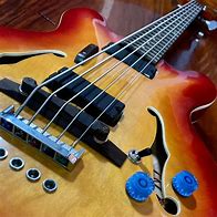 Image result for Shelley Sharp Bass