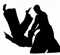 Image result for Aikido