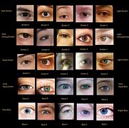 Image result for Meditarrean Eye Chart A10