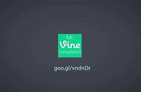 Image result for Mr Vine Onion