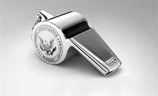 Image result for Whistleblower Film