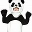 Image result for Baby Panda Bear Costume