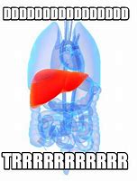 Image result for Fatty Liver Meme