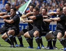 Image result for New Zealand Rugby Sports