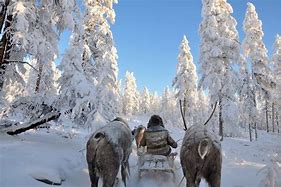 Image result for Coldest Place On Earth Oymyakon