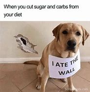 Image result for Lose Weight MEME Funny