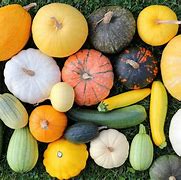 Image result for Healthy Recipes with Green Squash