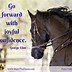 Image result for Horse Race Quotes