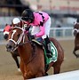 Image result for Breeders' Cup Photography