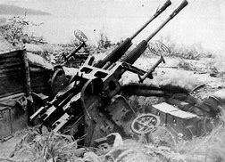 Image result for 25Mm Anti-Aircraft Gun