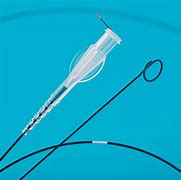 Image result for Powerpicc Catheter with Sherlock 3CG Tip
