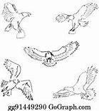 Image result for Eagle Drawing in Color