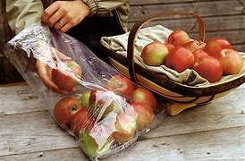 Image result for Storing Apples