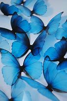 Image result for Pastel Blue Aesthetic Stickers