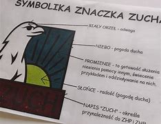 Image result for co_oznacza_znaczek_zucha