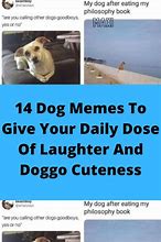 Image result for Yay Meme Dog