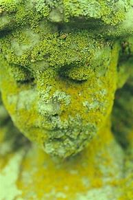 Image result for Moss Sculpture Garden