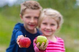 Image result for apples pick