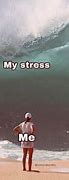 Image result for Anti-Stress Meme