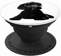 Image result for Puppy Pop Socket