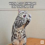 Image result for Good Cat Memes