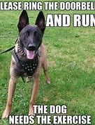 Image result for Funny Dog Training Memes